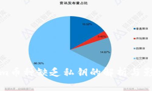Tokenim币种缺乏私钥的解析与影响分析