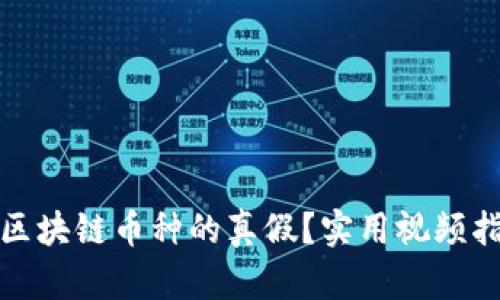 如何区分区块链币种的真假？实用视频指南与技巧