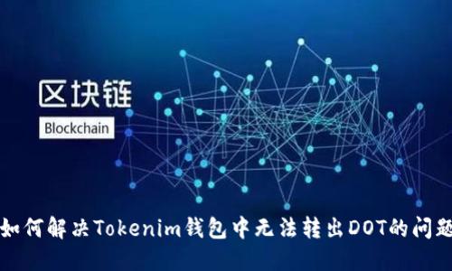 如何解决Tokenim钱包中无法转出DOT的问题