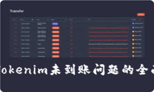 解决Tokenim未到账问题的全面指南