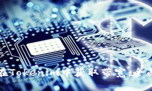 如何在Tokenim中获取带宽：全面指南