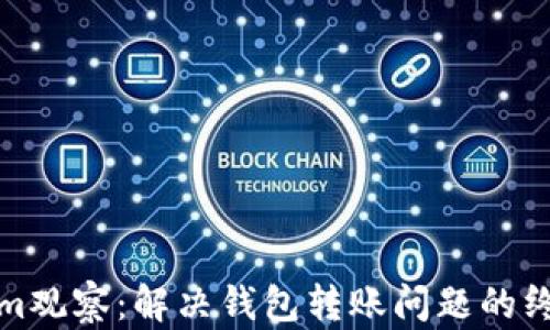 
Tokenim观察：解决钱包转账问题的终极指南