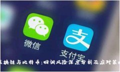 区块链与比特币：回调风险深度分析及应对策略