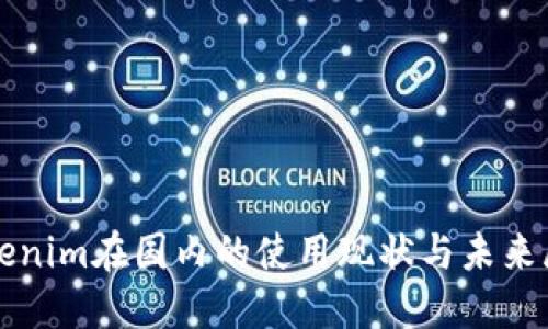 Tokenim在国内的使用现状与未来展望