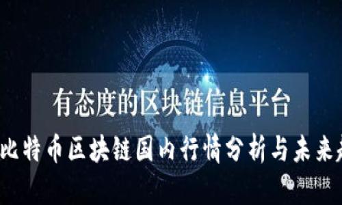 2023年比特币区块链国内行情分析与未来趋势展望