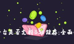 Tokenim平台是否支持BSV储存
