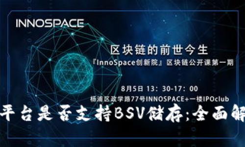 Tokenim平台是否支持BSV储存：全面解析与FAQ