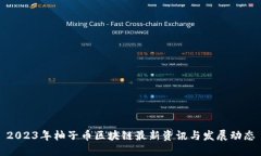2023年柚子币区块链最新资讯与发展动态
