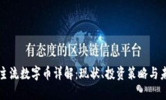 区块链主流数字币详解：现状、投资策略与未来