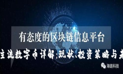 区块链主流数字币详解：现状、投资策略与未来趋势