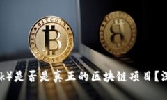 : 派币（Pi Network）是否是真正的区块链项目？深