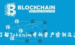 深入了解Tokenim中的资产密钥及其应用