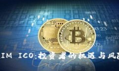 TokenIM ICO：投资者的机遇与风险分析