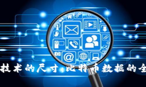区块链技术的尺寸：比特币数据的全面解析